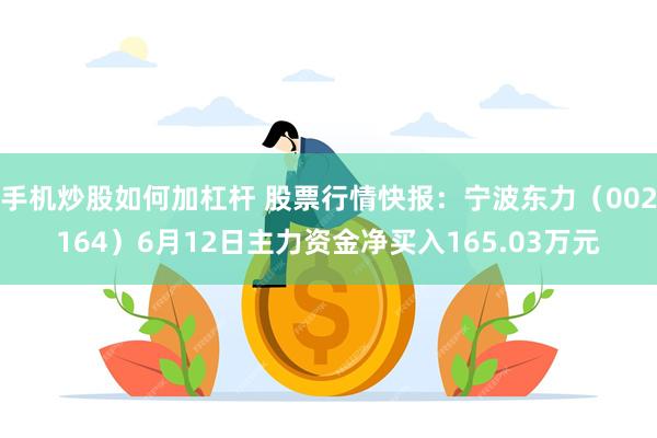 手机炒股如何加杠杆 股票行情快报：宁波东力（002164）6月12日主力资金净买入165.03万元