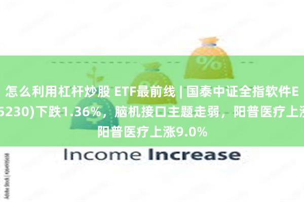 怎么利用杠杆炒股 ETF最前线 | 国泰中证全指软件ETF(515230)下跌1.36%，脑机接口主题走弱，阳普医疗上涨9.0%