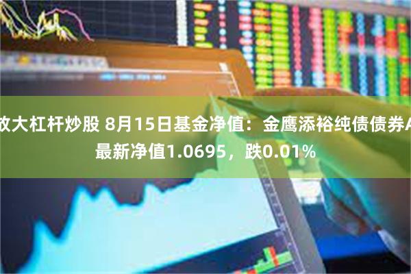 放大杠杆炒股 8月15日基金净值：金鹰添裕纯债债券A最新净值1.0695，跌0.01%