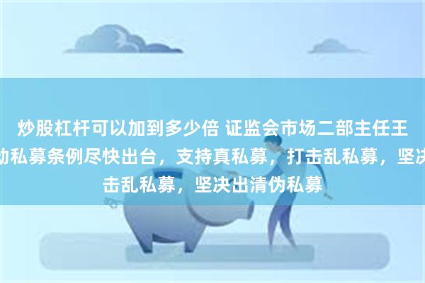 炒股杠杆可以加到多少倍 证监会市场二部主任王建平：将推动私募条例尽快出台，支持真私募，打击乱私募，坚决出清伪私募