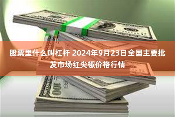 股票里什么叫杠杆 2024年9月23日全国主要批发市场红尖椒价格行情