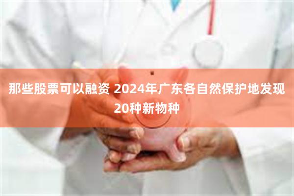 那些股票可以融资 2024年广东各自然保护地发现20种新物种