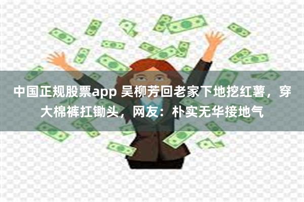 中国正规股票app 吴柳芳回老家下地挖红薯，穿大棉裤扛锄头，网友：朴实无华接地气