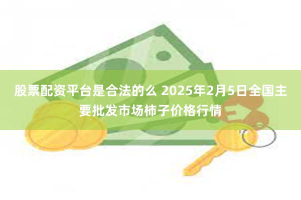 股票配资平台是合法的么 2025年2月5日全国主要批发市场柿子价格行情